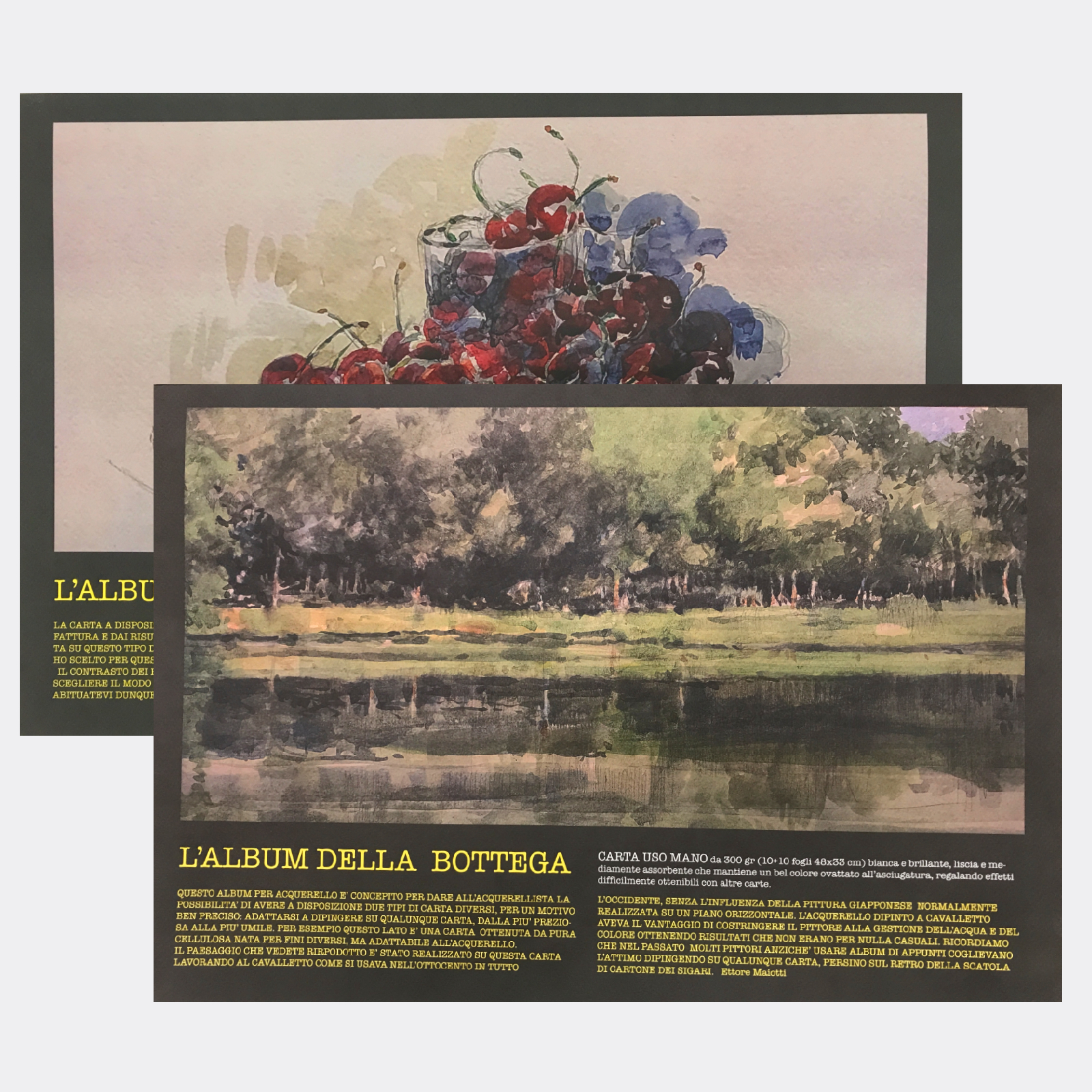 L' album della Bottega Maiotti – L' altra carta per acquerello - Pellegrini  Brera - La Bottega d'Arte di Milano